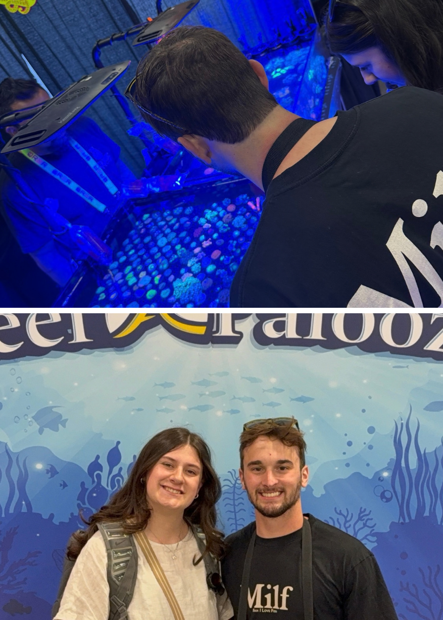 A Genuine Love for Reefkeeping